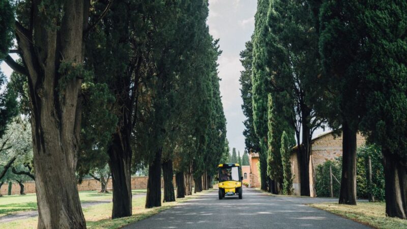 Rome: Appian Way Golf Cart Tour with Roman Catacombs Entry - From the Baths of Caracalla to the Aurelian Walls