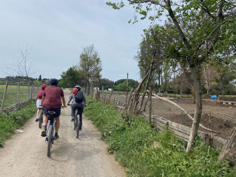 Rome: Appian Way Guided Tour on E-Bike with italian Aperitif - A Taste of Local Life at a Charming Farmhouse