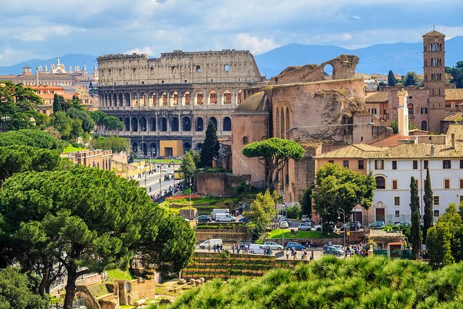Rome: Best of Colosseum and Roman Forum Small Group Guided Tour - The Guide’s Approach and Tour Dynamics