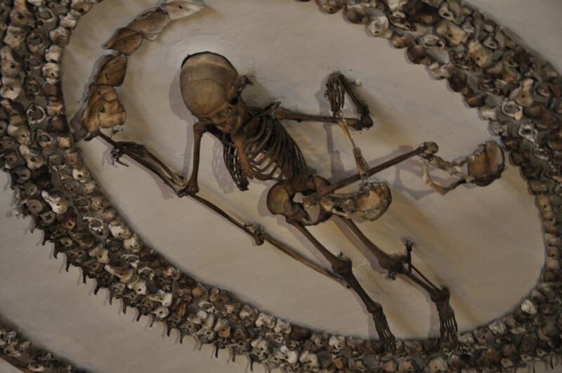 Rome: Capuchin Crypts Express Tour - Key Points