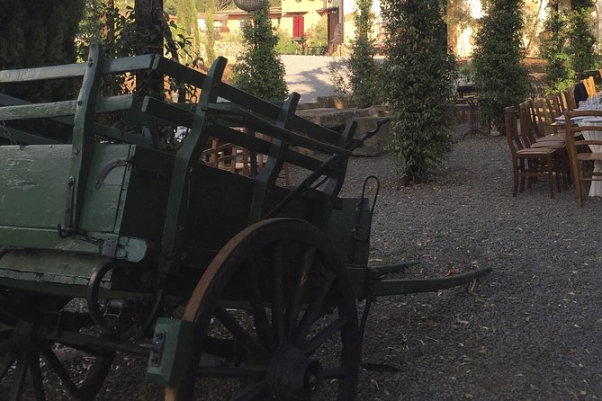 Rome - Castelli Romani Private Wine Tasting - Starting with Convenient Hotel Pickup and Drop-off in Rome