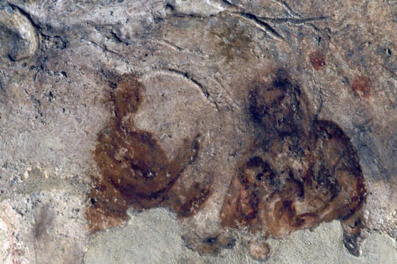 Rome: Catacombs of Priscilla Entry Ticket & Guided Tour - The Experience of the Guide