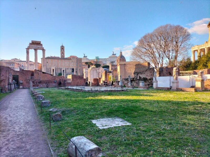 Rome: Colosseum and Ancient Rome Guided Walking Tour - Climbing Palatine Hill for Panoramic Views