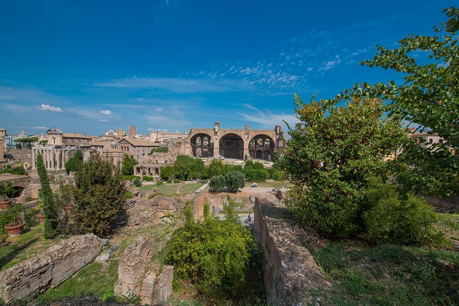 Rome: Colosseum Arena, Roman Forum & Palatine Hill Tour - Landmarks in Rome’s Historic Center