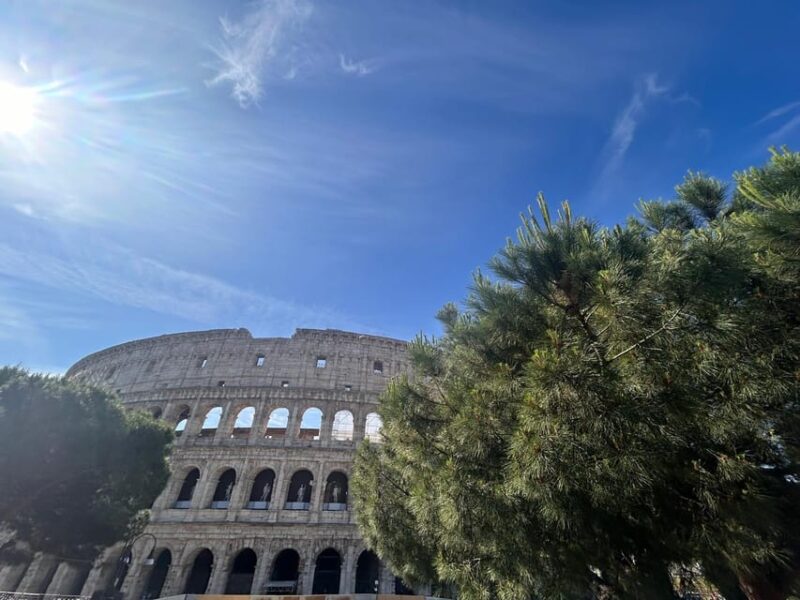 Rome: Colosseum Arena, Roman Forum & Palatine Tour - The Value of the Tour and Customer Satisfaction