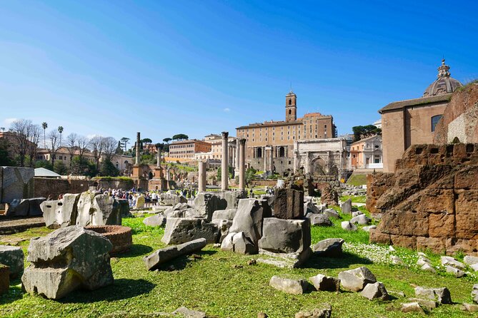 Rome: Colosseum, Forum & Palatine Hill Guided Tour  Best Value - Logistics of the Tour: Meeting Point and Group Size