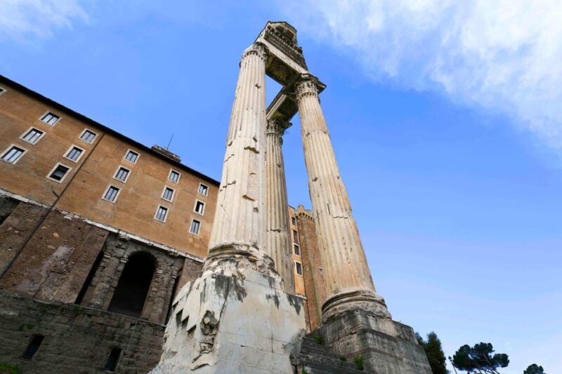 Rome: Colosseum & Forum with Audio Guide App -Optional Arena - Final Thoughts on the Rome Colosseum & Forum Tour