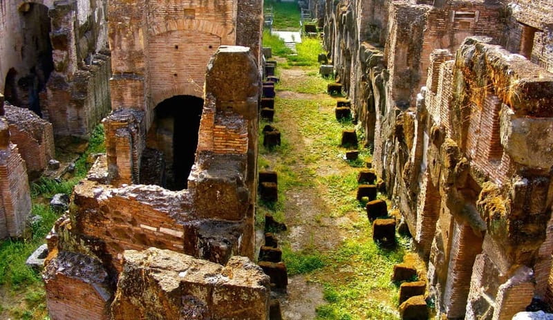 Rome: Colosseum Gladiator's Arena and Roman Forum Tour - Logistics, Group Size, and Accessibility