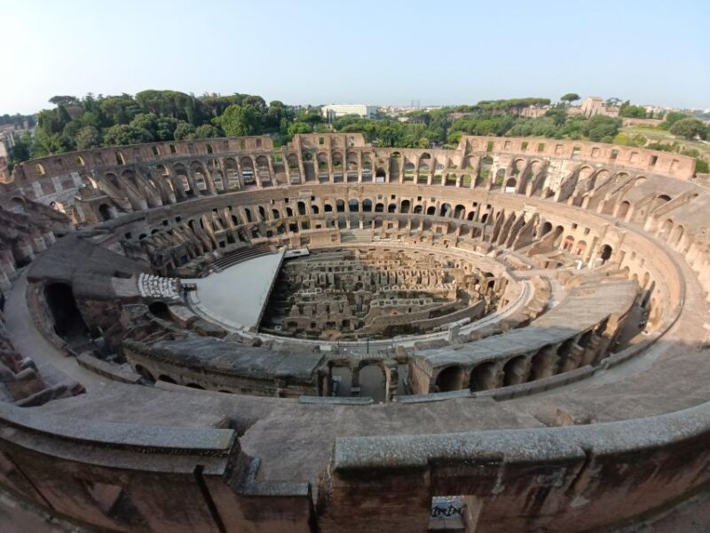 Rome: Colosseum, Palatine Hill, & Roman Forum Walking Tour - Meeting Points and Accessibility