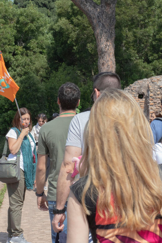 Rome: Colosseum, Roman Forum and Palatine Hill Guided Tour - Value for Money and Booking Flexibility