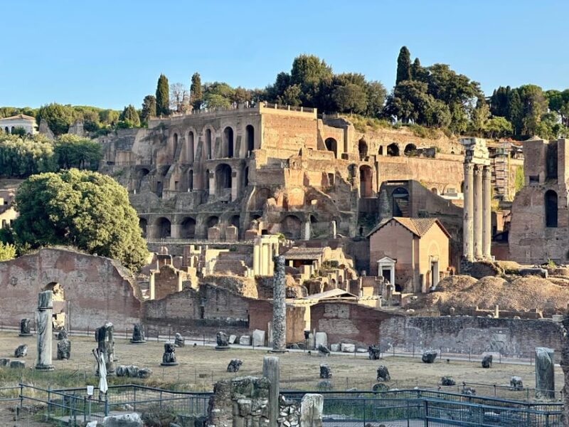Rome: Colosseum, Roman Forum and Palatine Hill Guided Tour - Language Options and Practical Tips for Visitors