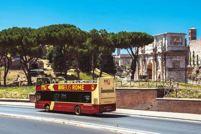 Rome: Colosseum, Roman Forum, Palatine Hill & Hop-on Hop-off - Considering the Tour’s Pacing and Organization