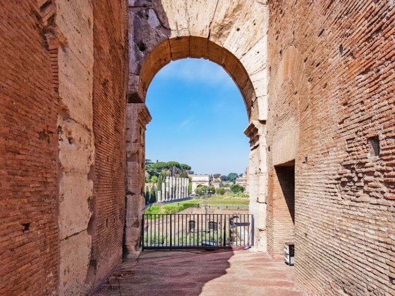 Rome: Colosseum, Roman Forum & Palatine Hill Tour - Discovering the Roman Forums Political and Social Heart
