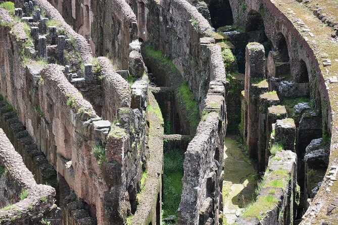 Rome: Colosseum Underground Full Experience Tour - Visiting Palatine Hill and the Roman Forum at Your Own Pace