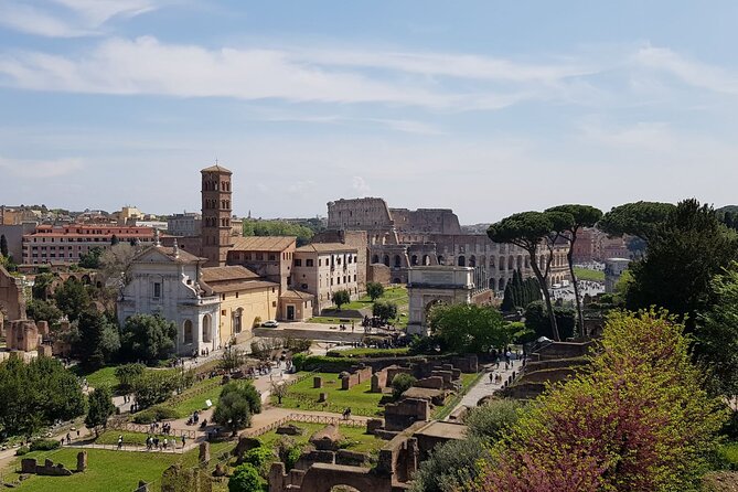 Rome Colosseum,Palatine Hill and Roman Forum Guided Tour - Physical Requirements and Accessibility