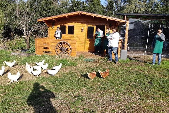 Rome Cooking Class: Make Pizza and Pasta with Wine & Dessert - Tasting with Unlimited Wine and Homemade Dessert