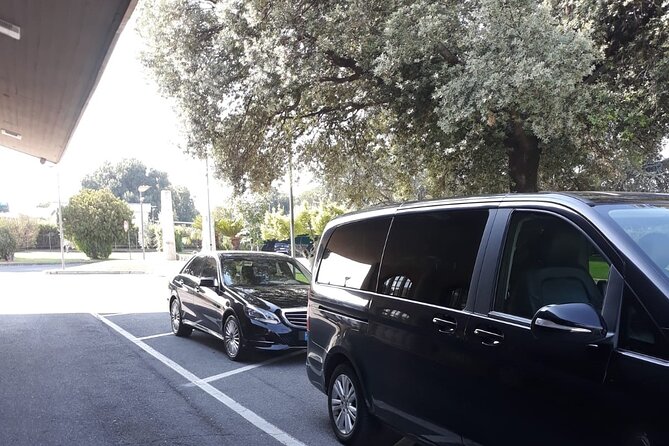 Rome Countryside Delights: Exclusive Wine Tasting Tour - Key Points