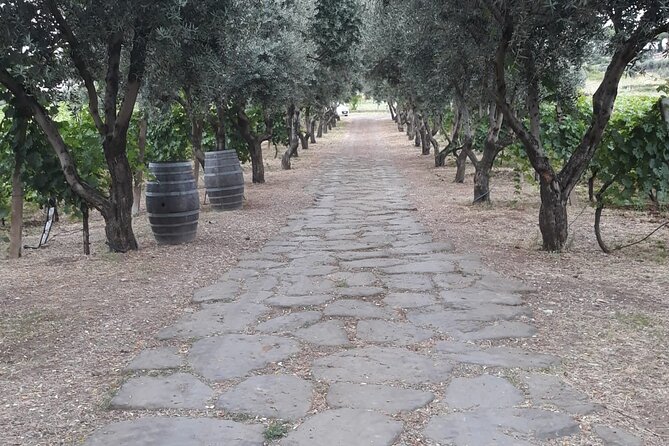 Rome Countryside Vineyards and Wine Tasting - Private Tour - Tasting Paired with Local Delicacies