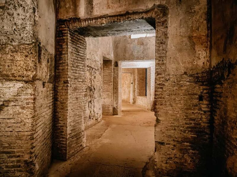 Rome: Domus Aurea Guided Tour and Virtual Reality Experience - Key Points
