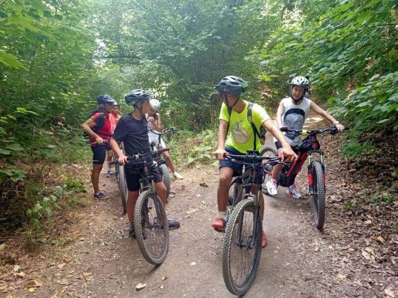 Rome E-Bike Tour: Frascati Vineyard & Wine Tasting Adventure - The Experience Provider and Group Options