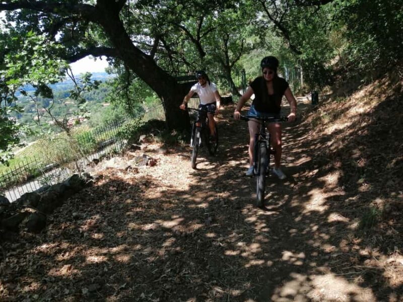 Rome E-Bike Tour: Frascati Vineyard & Wine Tasting Adventure - Suitable for Foodies, Wine Enthusiasts, and Active Explorers