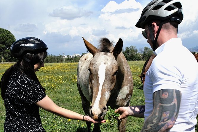 Rome EBike Tour: Appian Way, Catacombs & Roman Aqueducts - Practical Details and Tour Logistics