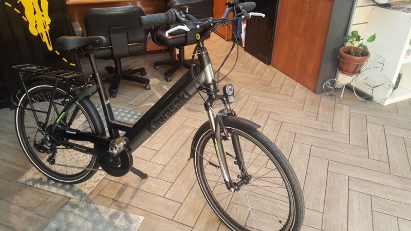 Rome: Electric Bike Rental - The Benefits of a Private Group Electric Bike Rental