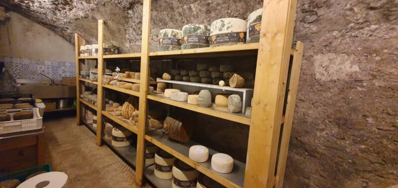 Rome: Explore Testaccio Market and Local Hidden Gems - Ending with Artisanal Gelato