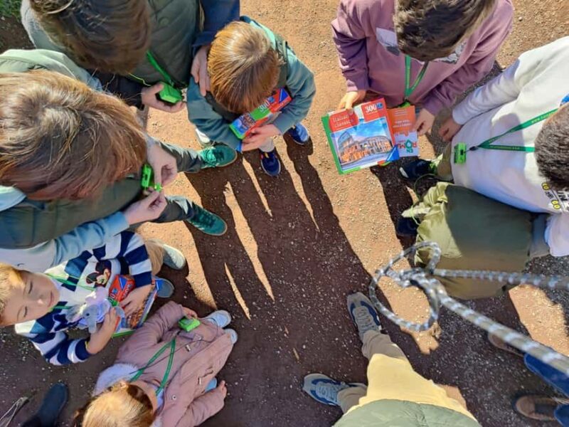 Rome for Kids: Colosseum and Roman Forum Tour - Starting Point at the Arch of Constantine in Rome