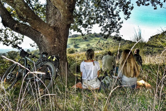 Rome: Frascati Vineyard Bike Tour with Train Tickets - Included Gear and Additional Options