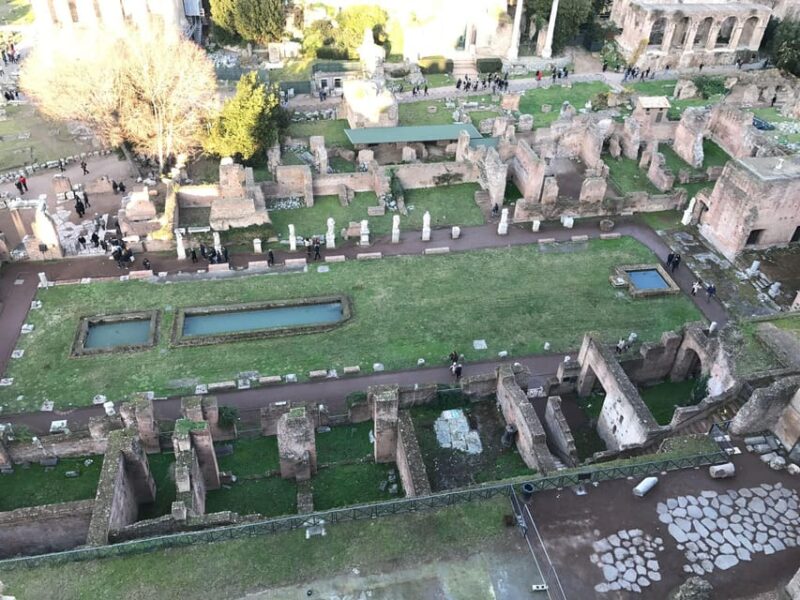 Rome: Guided Tour of Colosseum, Forum and Palatine Hill - Comparing Similar Tours and Options