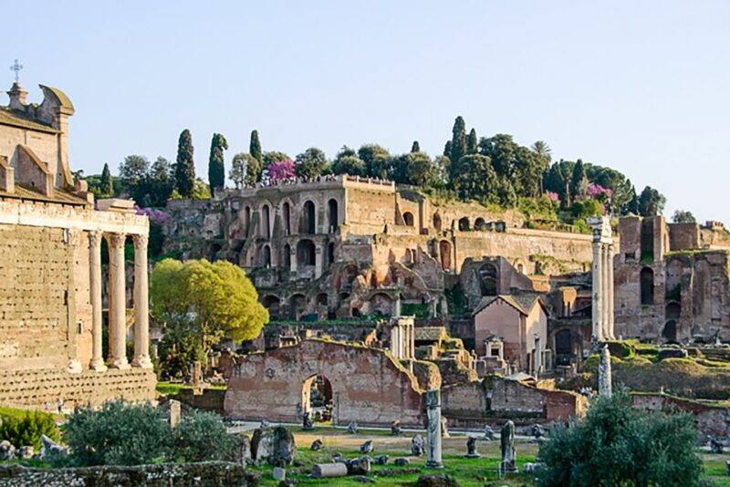 Rome: Guided Tour of Colosseum, Roman Forum & Palatine Hill - Inside the Colosseum: Where Gladiators Once Fought