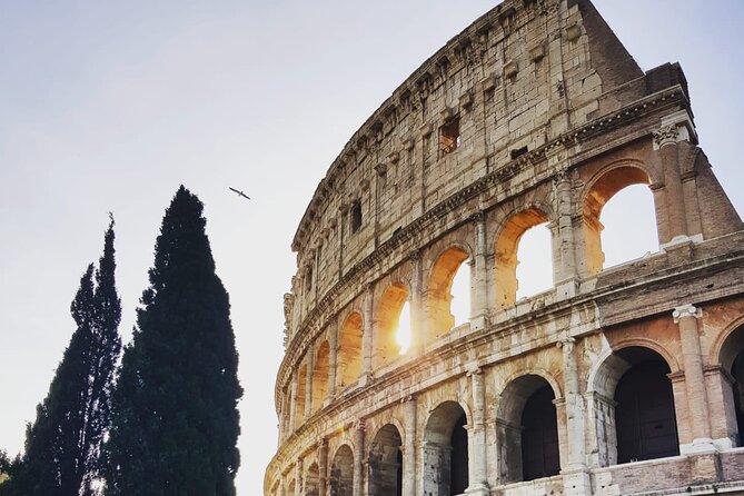 Rome: Guided Tour of the Colosseum - Key Points
