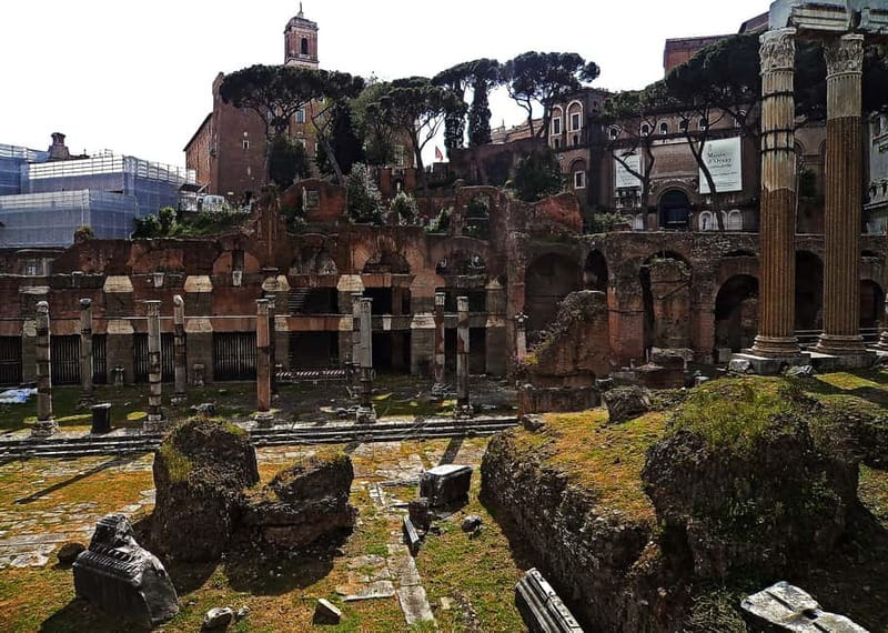 Rome: Guided Tour of the Colosseum, Forum and Palatine hill - The Guide and Tour Experience