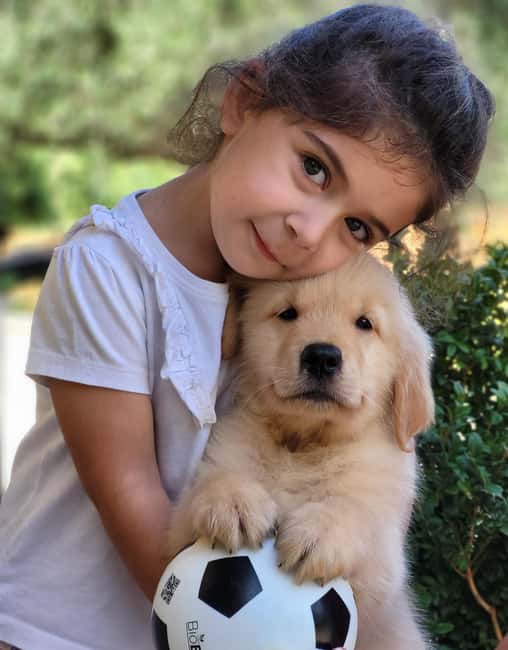 Rome: Guided Visit of a Golden Retriever and Cocker Spaniel Breeding Farm - Introduction to the Breeding Farm