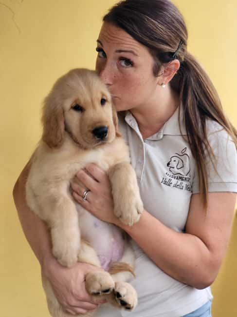 Rome: Guided Visit of a Golden Retriever and Cocker Spaniel Breeding Farm - What to Expect During the Guided Tour
