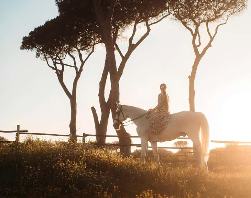 Rome: Horseback Riding Experience in Castel Fusano - Key Points