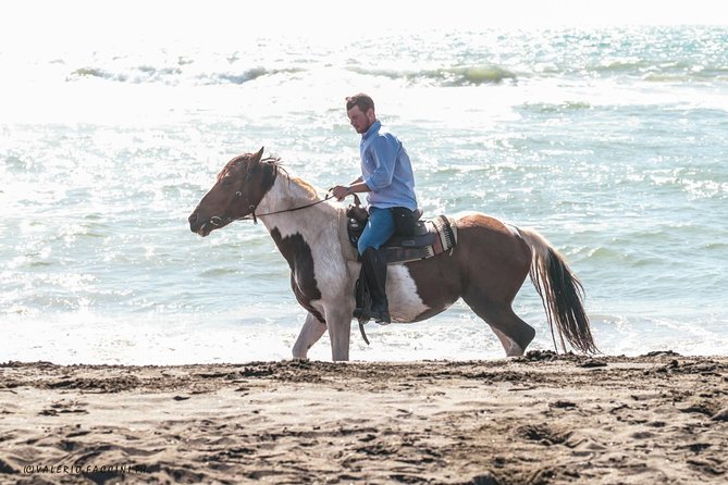 Rome: Horseback Riding on the Beach with aperitif - Starting Point and Practicalities in Rome