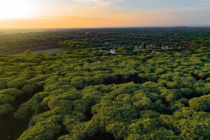 Rome : Horseback Riding with meals and wine included - Flexibility with Additional Options and Private Tours