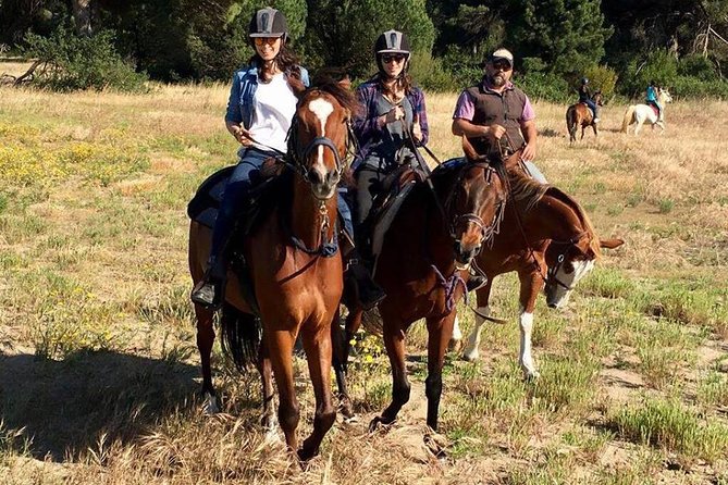 Rome : Horseback Riding with meals and wine included - Timing, Pacing, and Physical Requirements