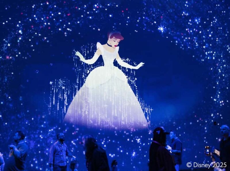 Rome: Immersive Disney Animation Entry Ticket - A Closer Look at the Interactive and Exhibition Features