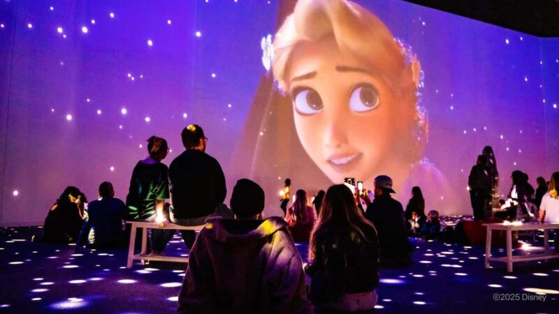 Rome: Immersive Disney Animation Entry Ticket - Who Will Most Enjoy This Tour?