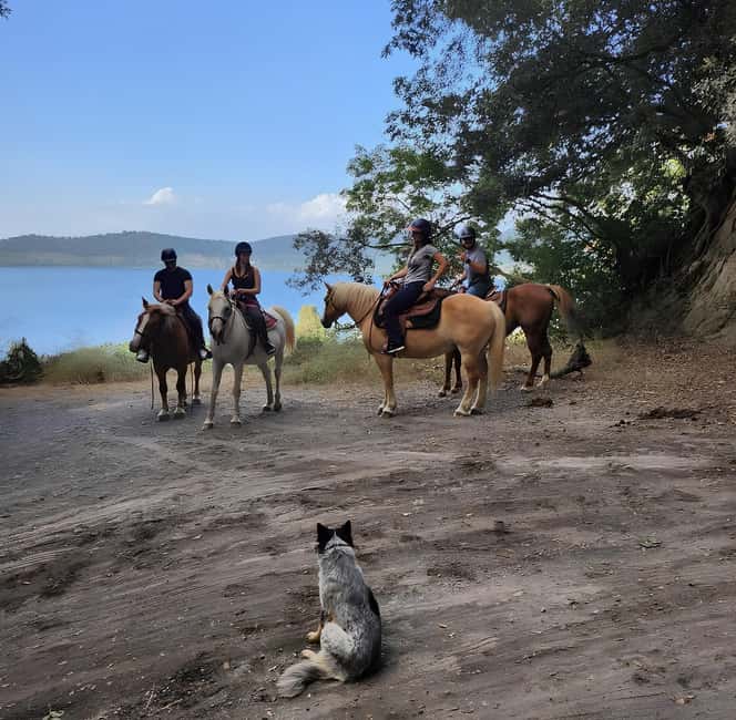 Rome: Lake Martignano Horseback Ride with Guide - Learning Horseback Riding Basics with an Experienced Guide