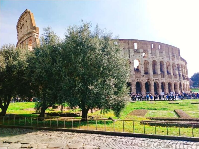 Rome: Masterclass Extra Virgin Olive Oil & Table Olives - What Sets This Tour Apart in Rome