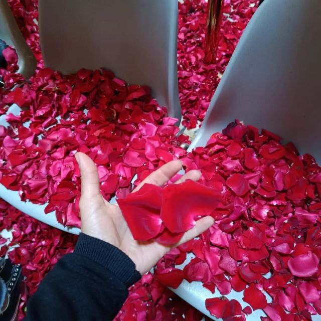 Rome: Pantheon Guided Tour with Entry Ticket and Headsets - The Experience of the Guide: What Makes It Special