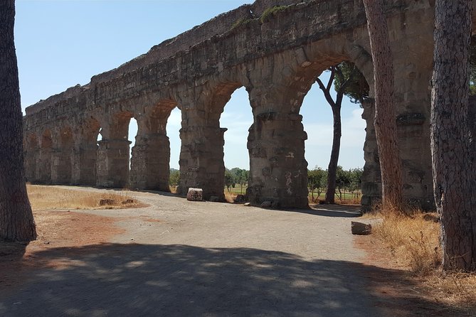 Rome Pre-Post Cruise Tour-Rome Cruise Transfer plus Tours of Rome - Accessibility and Dress Code Requirements