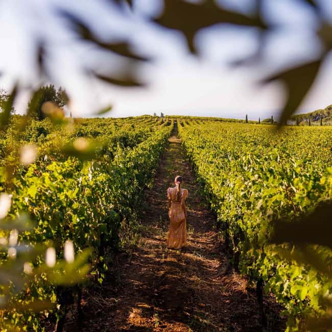 Rome: Private Castelli Romani Wine Tasting Tour - Private Wine Tour in Lazio with Exclusive Access