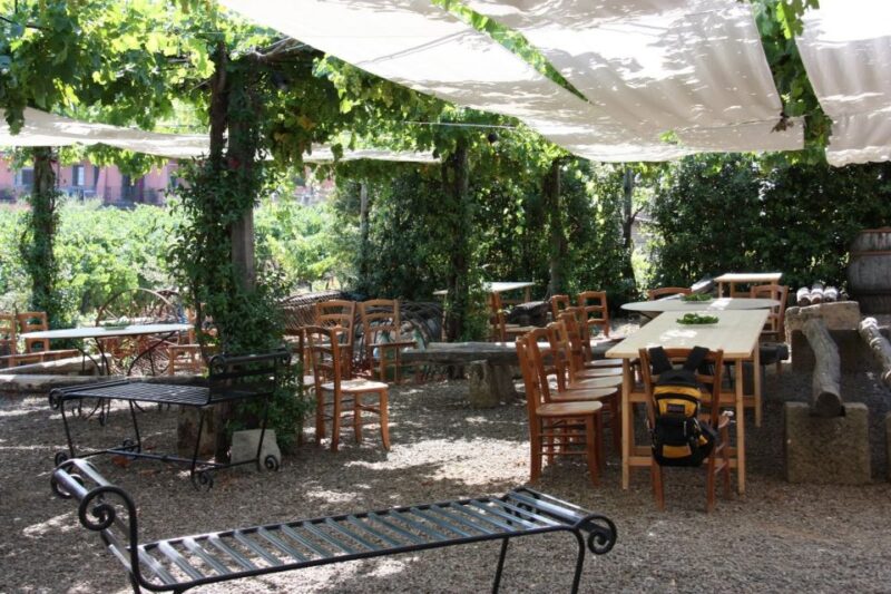 Rome: Private Castelli Romani Wine Tasting Tour - Who Will Appreciate This Tour Most