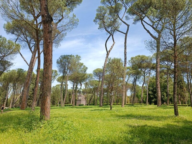 Rome: Private Tour with a Local Guide - Customizing Your Experience and Itinerary Options