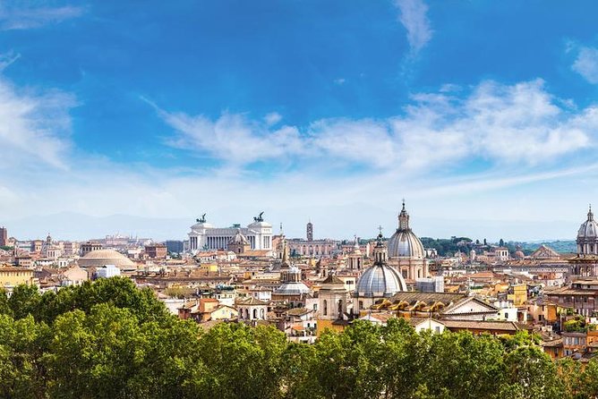Rome Revival: Private Airport Transfer & City Tour - Meeting Point and Accessibility Details